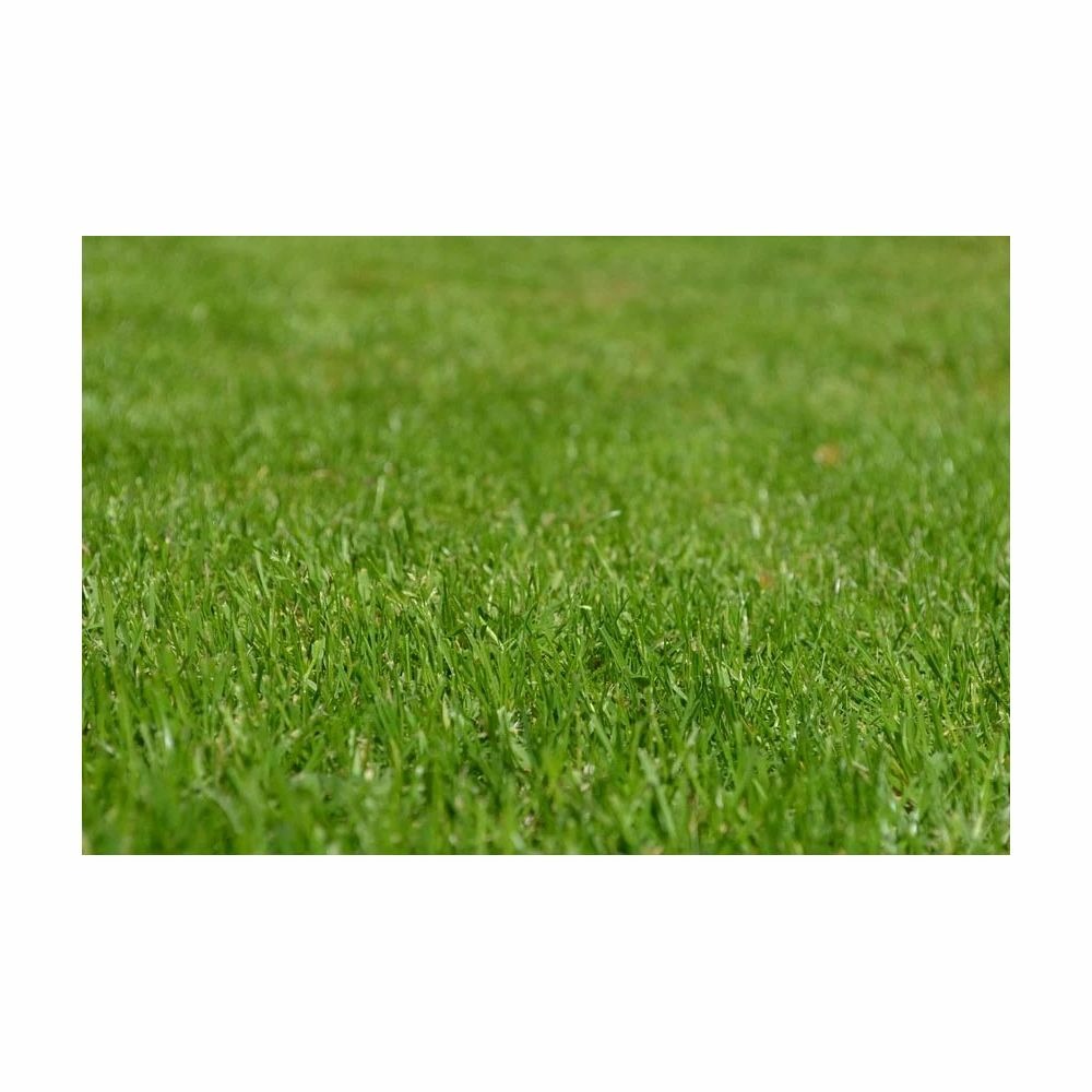 Terreau bio actif 40 litres unitaire