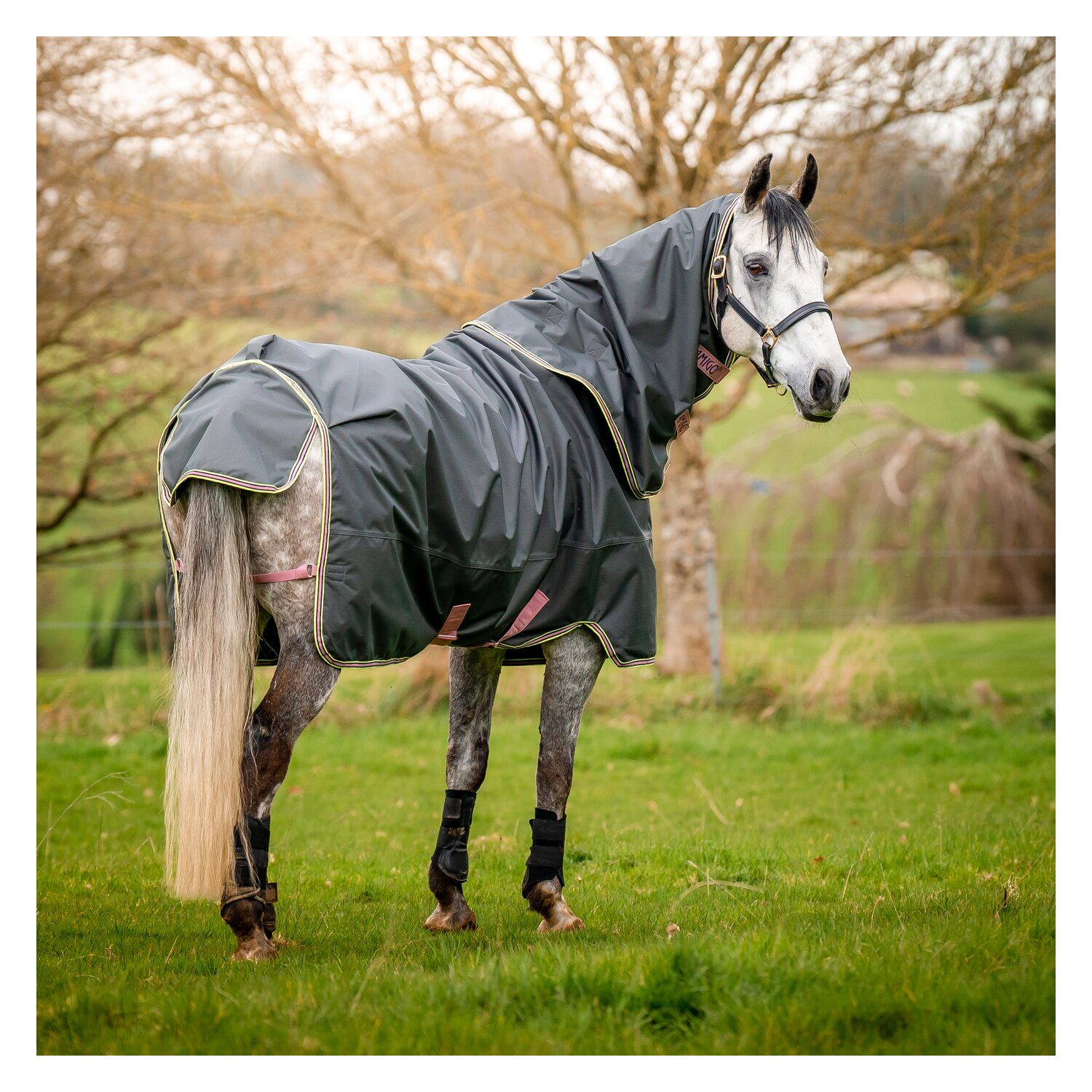 HORSEWARE Outdoordecke Amigo Hero Ripstop Plus Lite - shadow / rose & navy