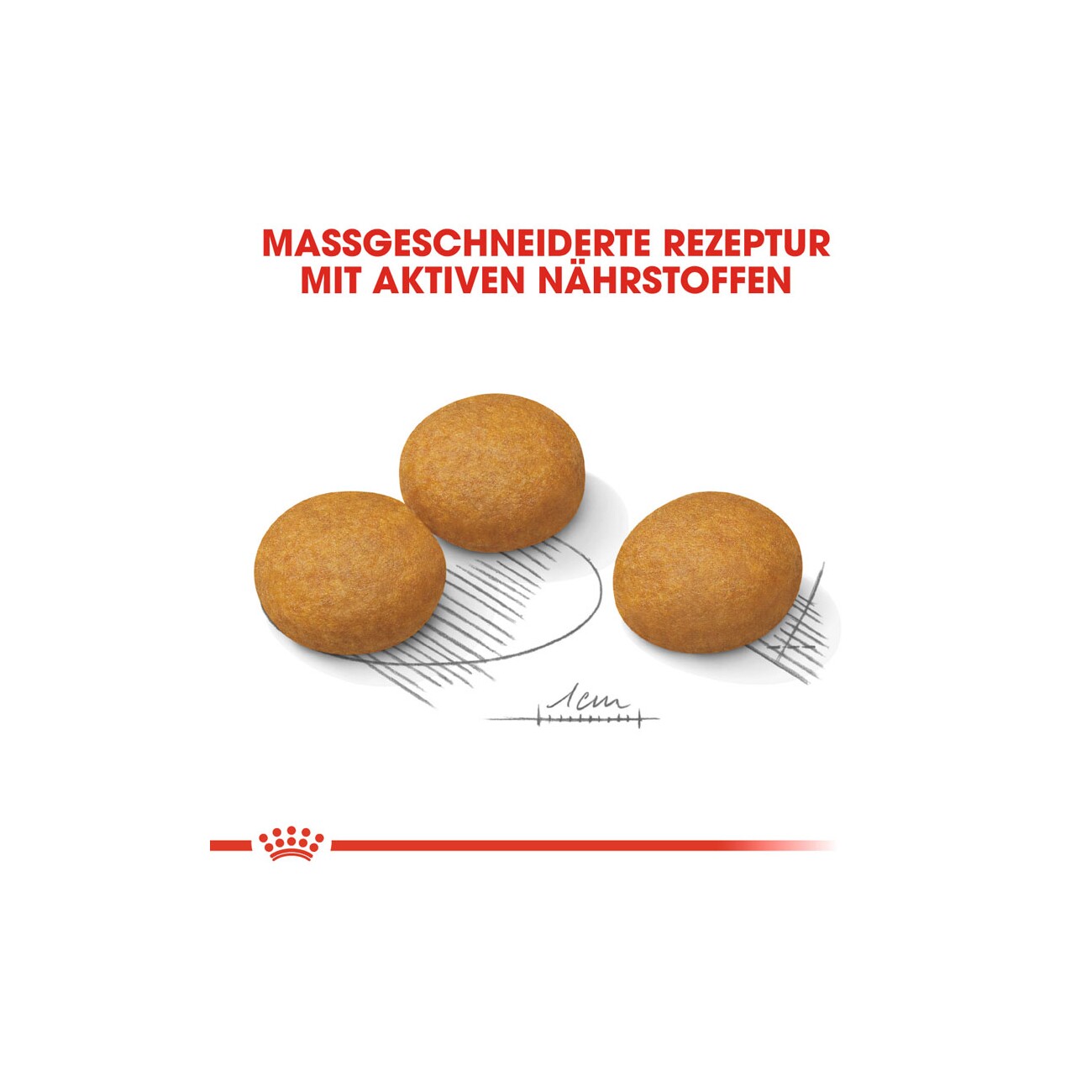 ROYAL CANIN Dermacomfort Maxi 3 kg