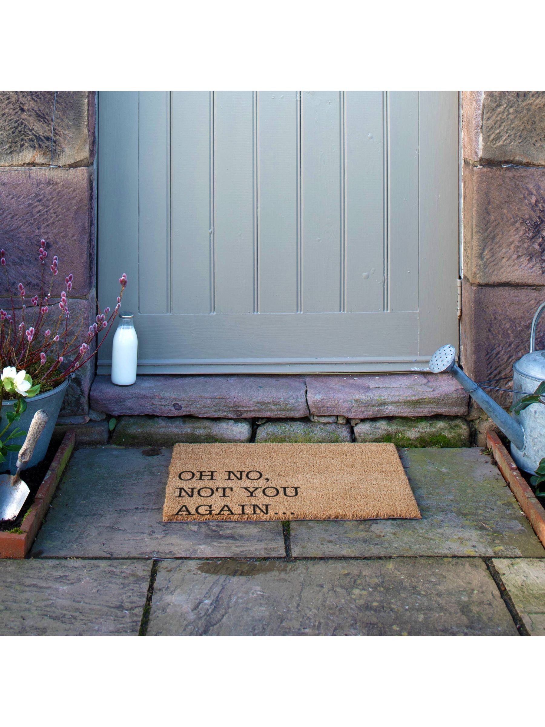 Artsy Mats Oh No Not You Again Doormat