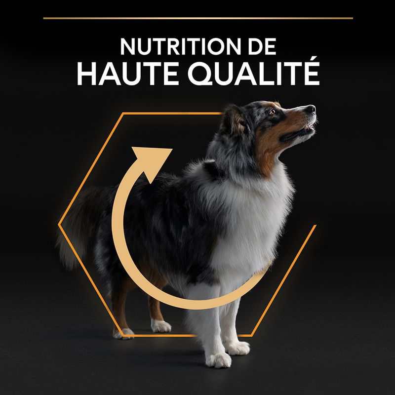 PURINA PRO PLAN Medium Adult Everyday Nutrition