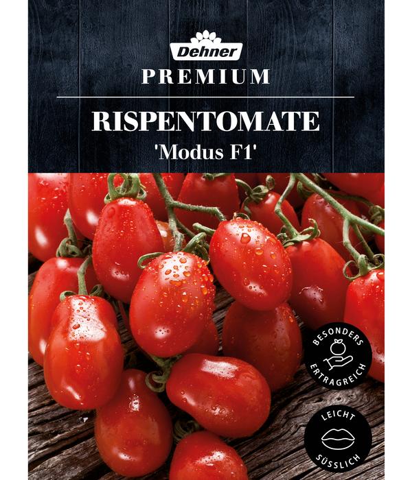 Dehner Premium Samen Rispentomate 'Modus F1'