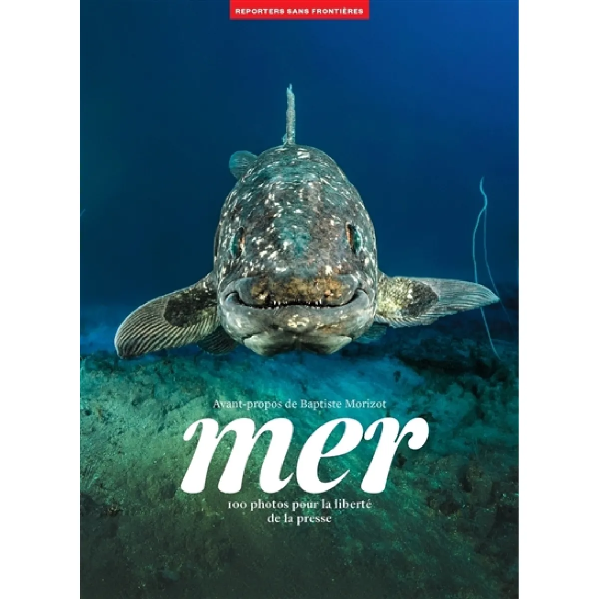 Mer : 100 photos pour la liberté de la presse · Occasion