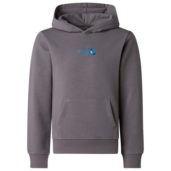 The North Face - Boy's Liquid Logo Reg Hoodie - Sweat à capuche