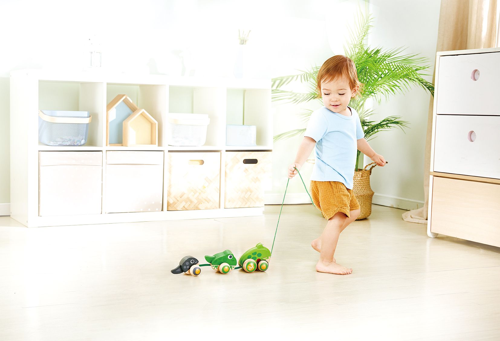 Hape Nachziehbare Frosch-Familie