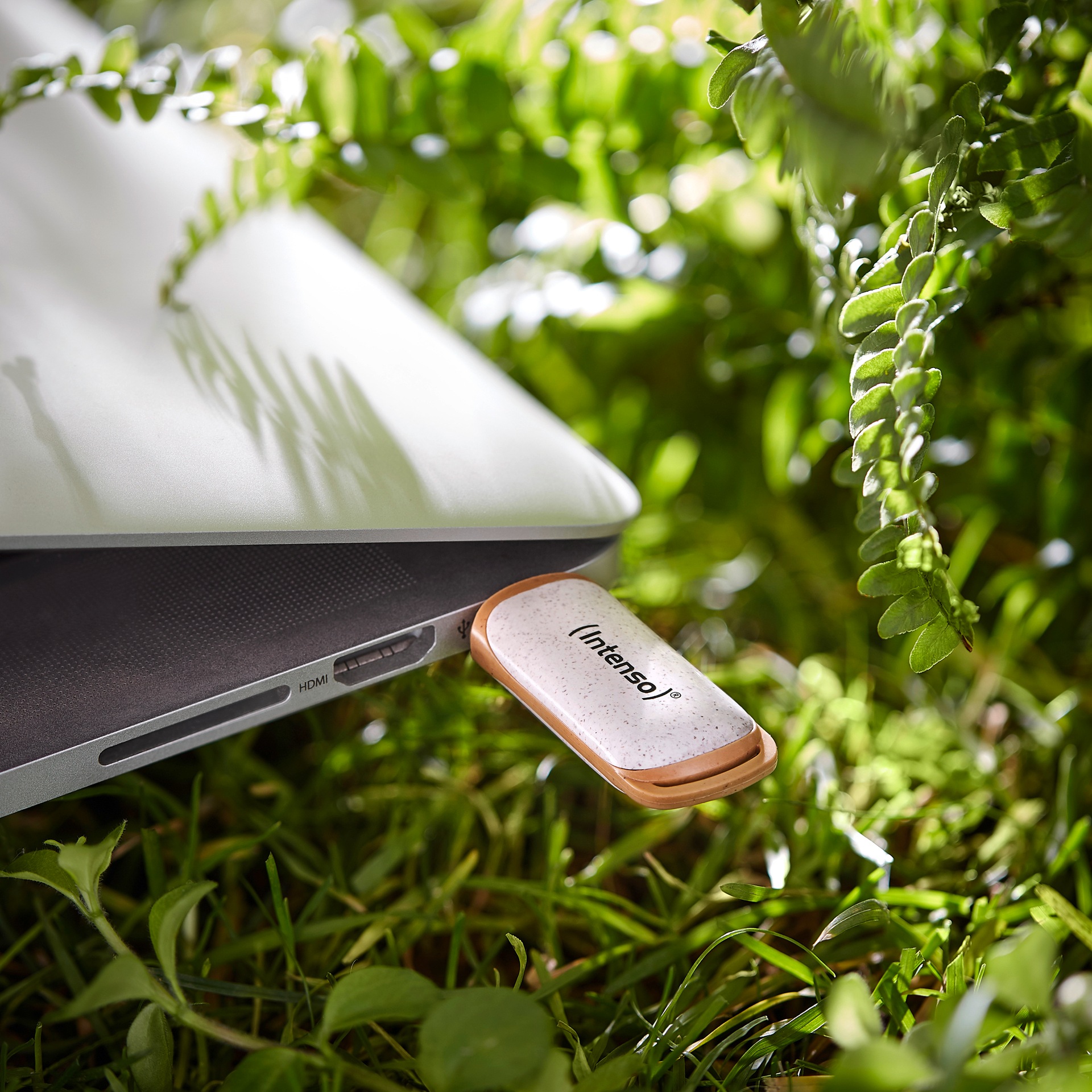 Intenso USB-Stick »Green Line 64 GB USB 3.2« (64 GB USB 3.2 Lesegeschwindigkeit 70 MB/s)