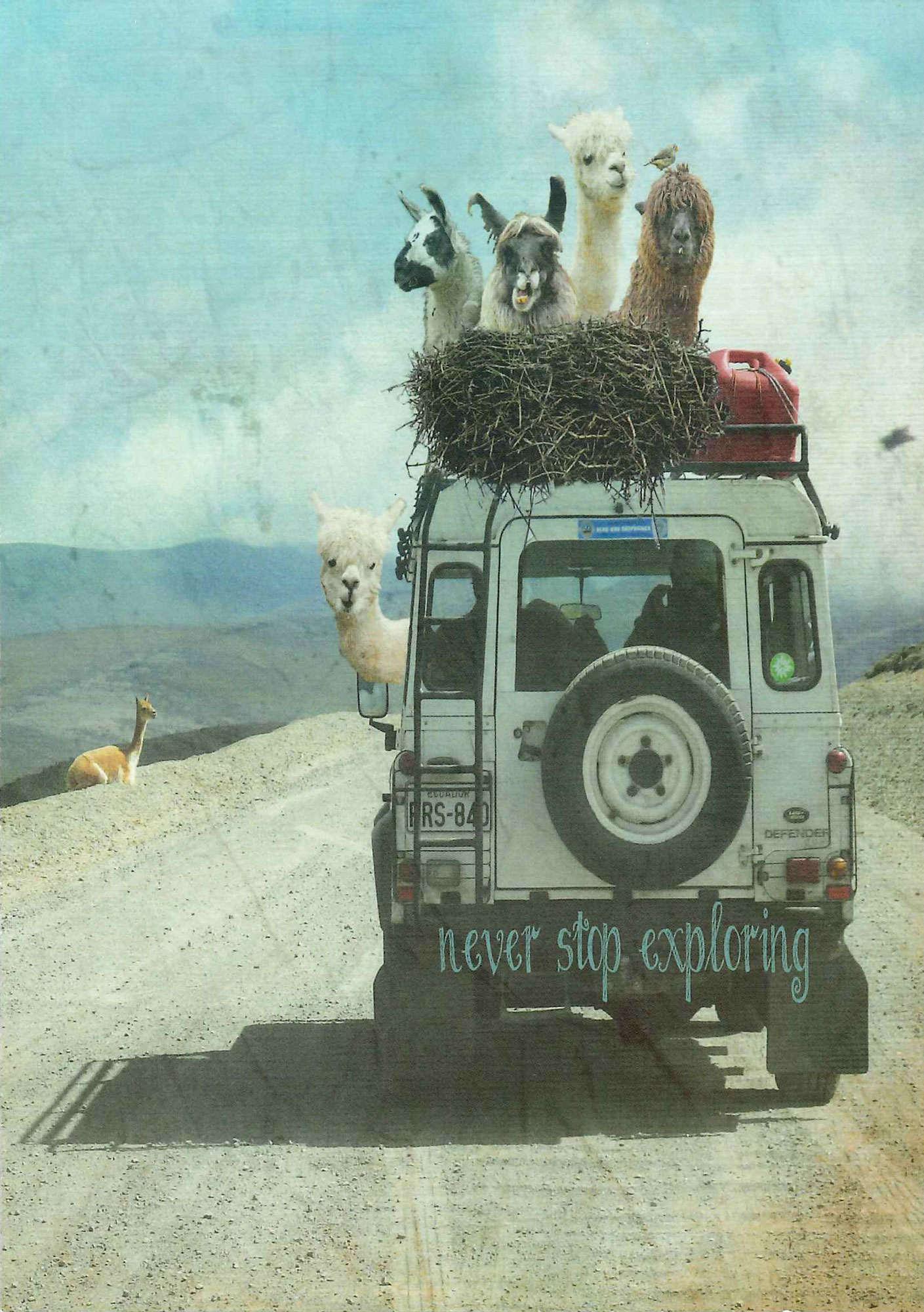 Postkarte 'Never stop exploring II' günstig bestellen