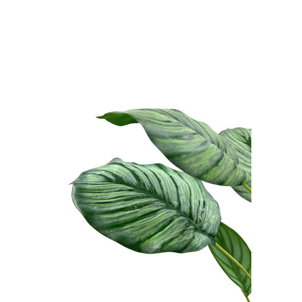 Emerald Kunstplant in pot calathea orbifolia 45 cm