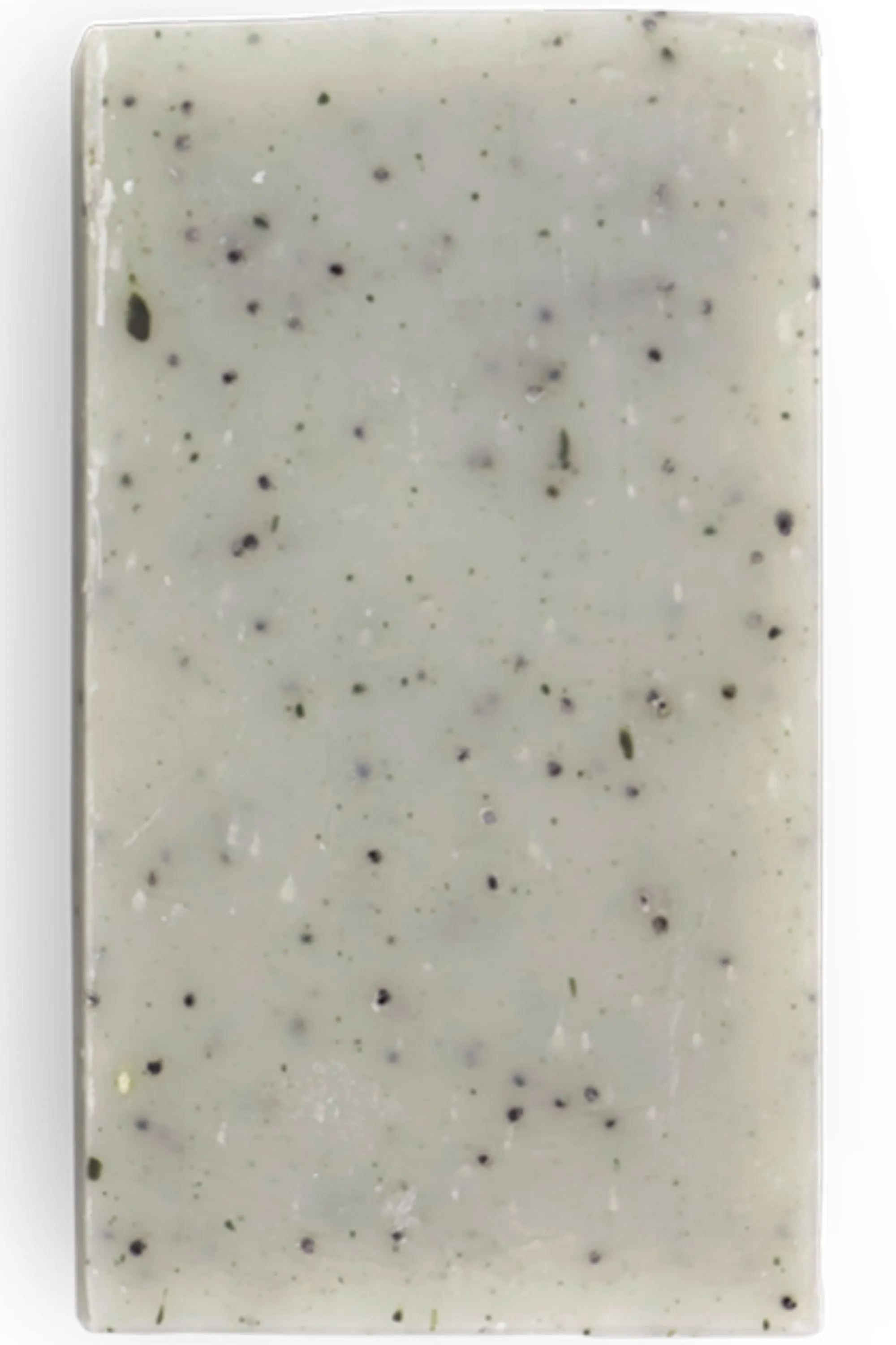 Clémence et Vivien Savon solide exfoliant le Gecko-100 g