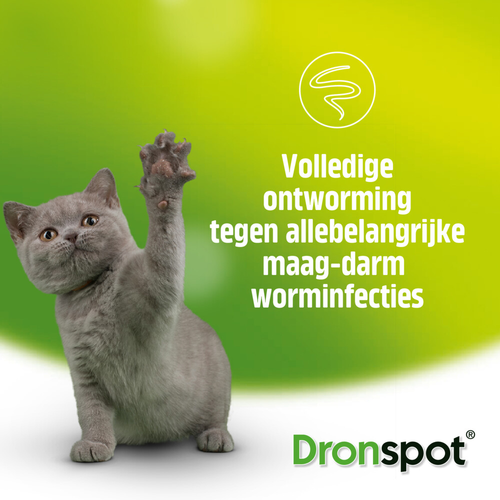 Dronspot Spot On Kat Ontwormingsdruppels Kat 5 - 8 kg2 pipetten