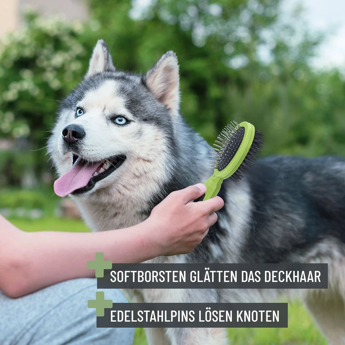Bürste 2in1 - ReaVET