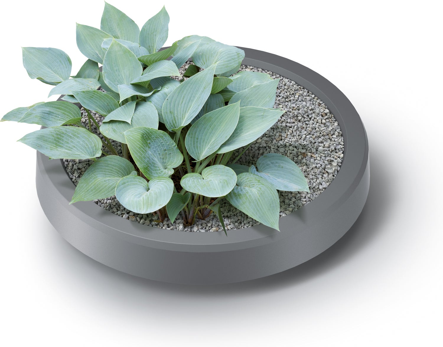 Intratuin regenton met plantenbak Tube antraciet 230 L
