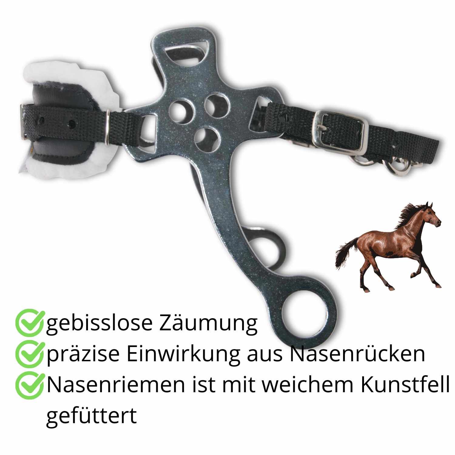 AMKA Hackamore