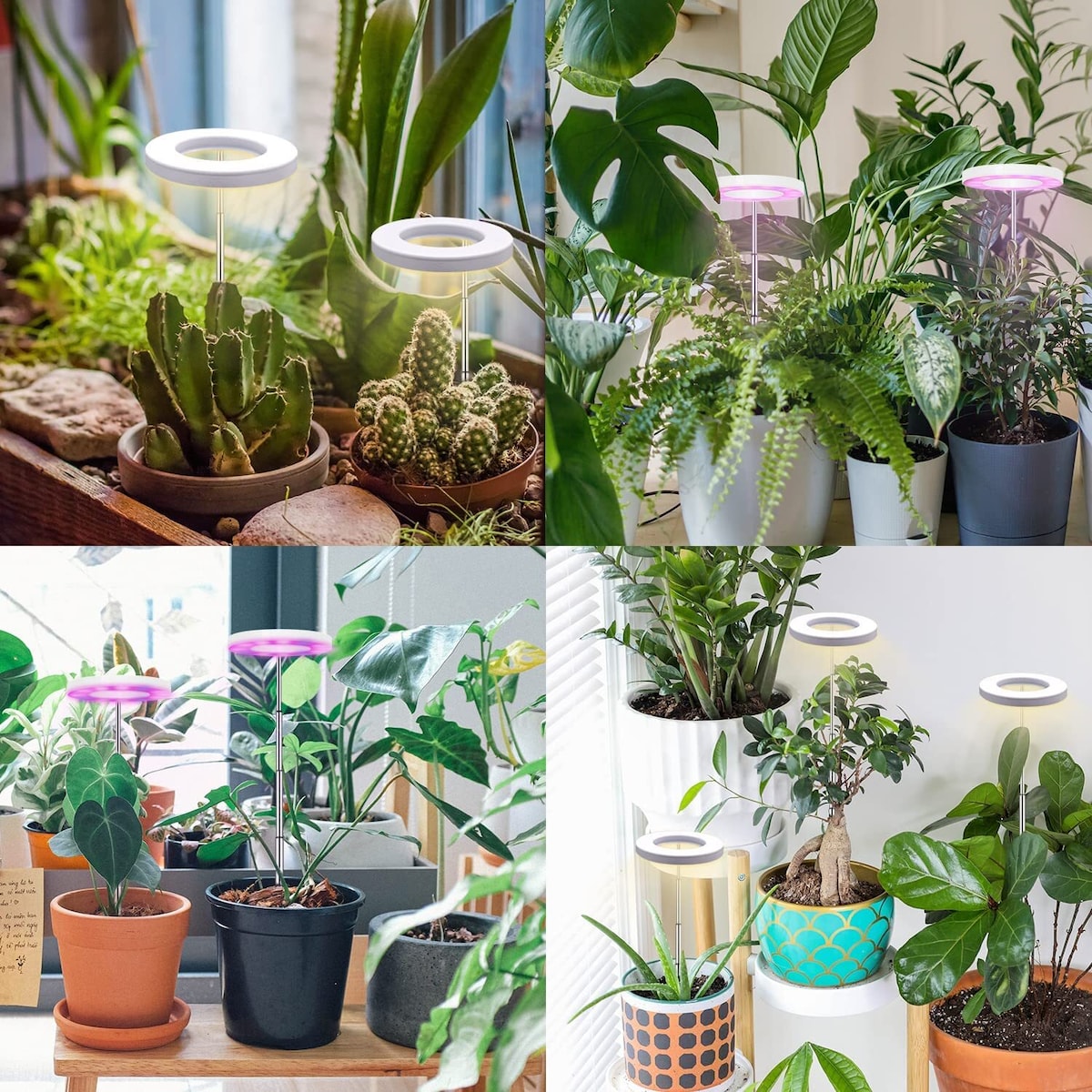 INF Plantebelysning for potteplanter varmhvit/hvit