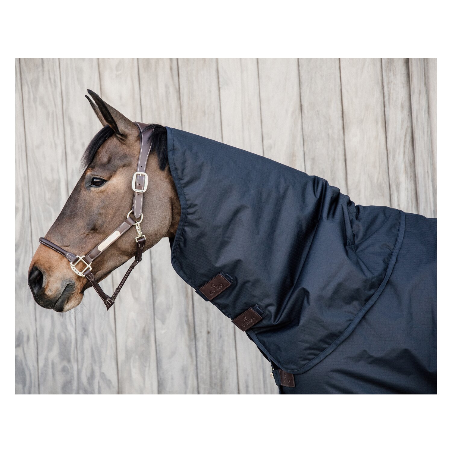 KENTUCKY Halsteil All Weather Classic 150 g  - navy