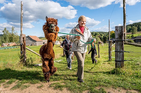 Bauernhof Besuch Bad Großpertholz