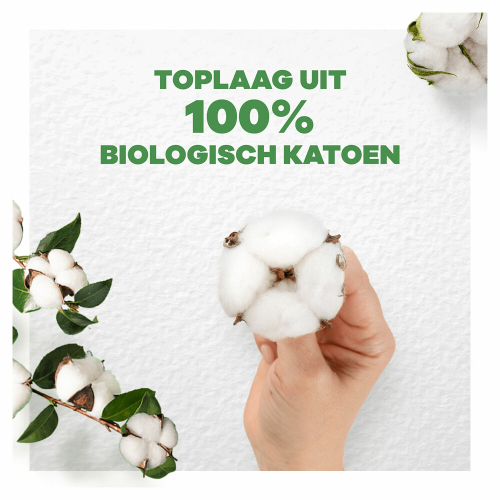 Always Maandverband Bio Cotton Night48 stuks