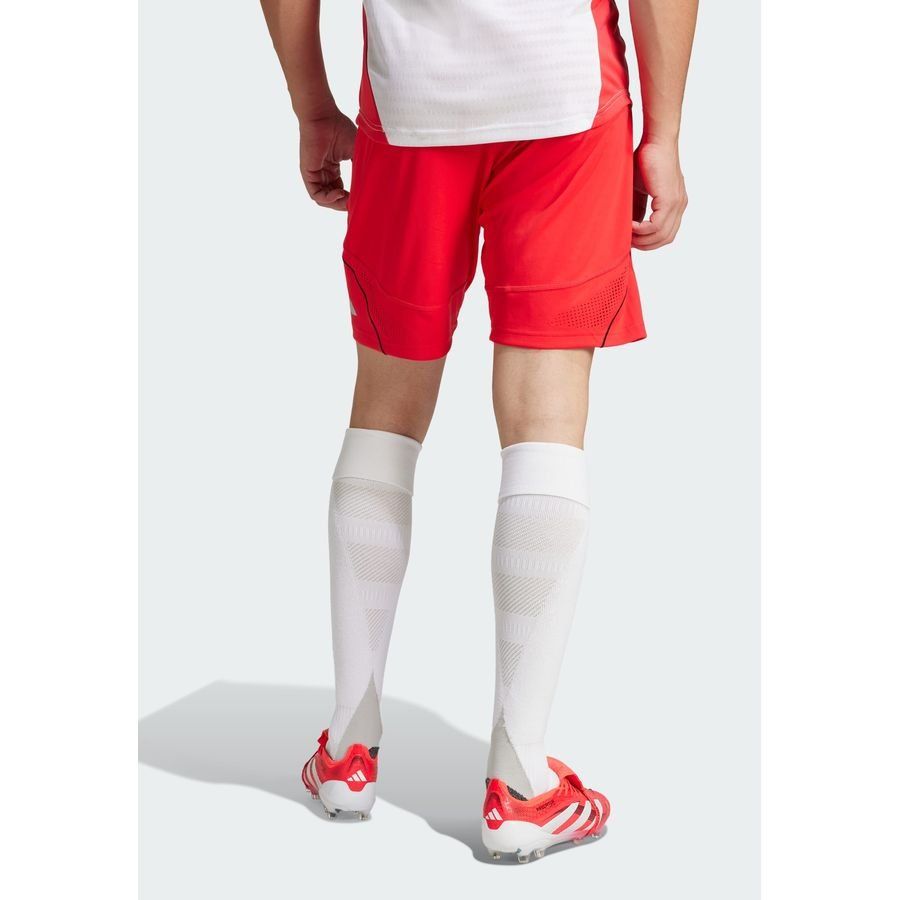 Adidas Tiro 25 Pro Training Shorts