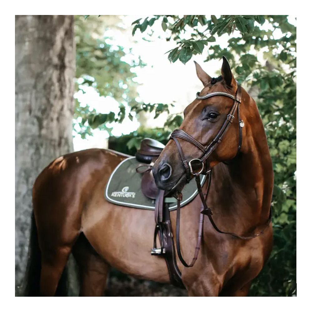 Kentucky COLOR EDITION LEATHER - Tapis d'obstacle kaki