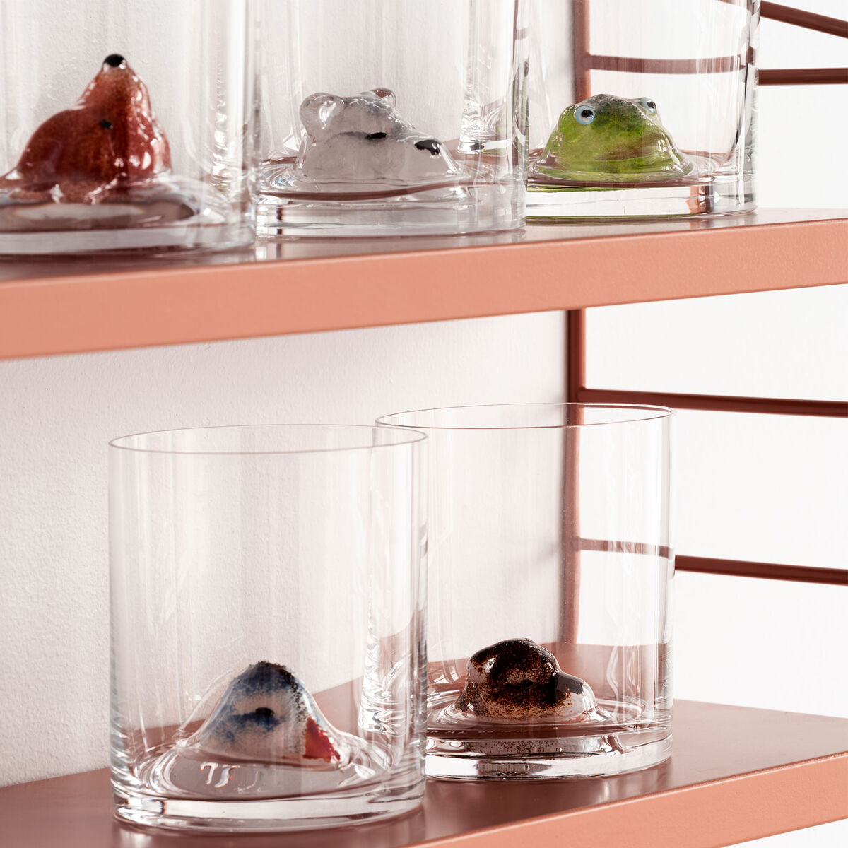 New Friends Glass, Fugl