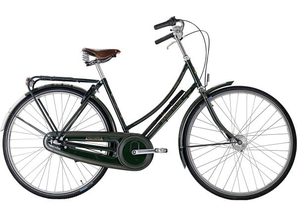 Raleigh Tourist de Luxe 3 Green - Damecykel - 2025