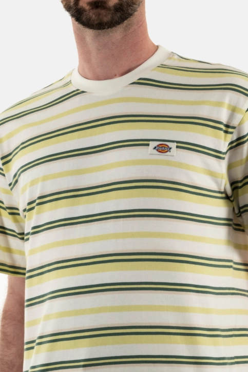 Tee shirt dickies glade spring j421 hrzntl strip