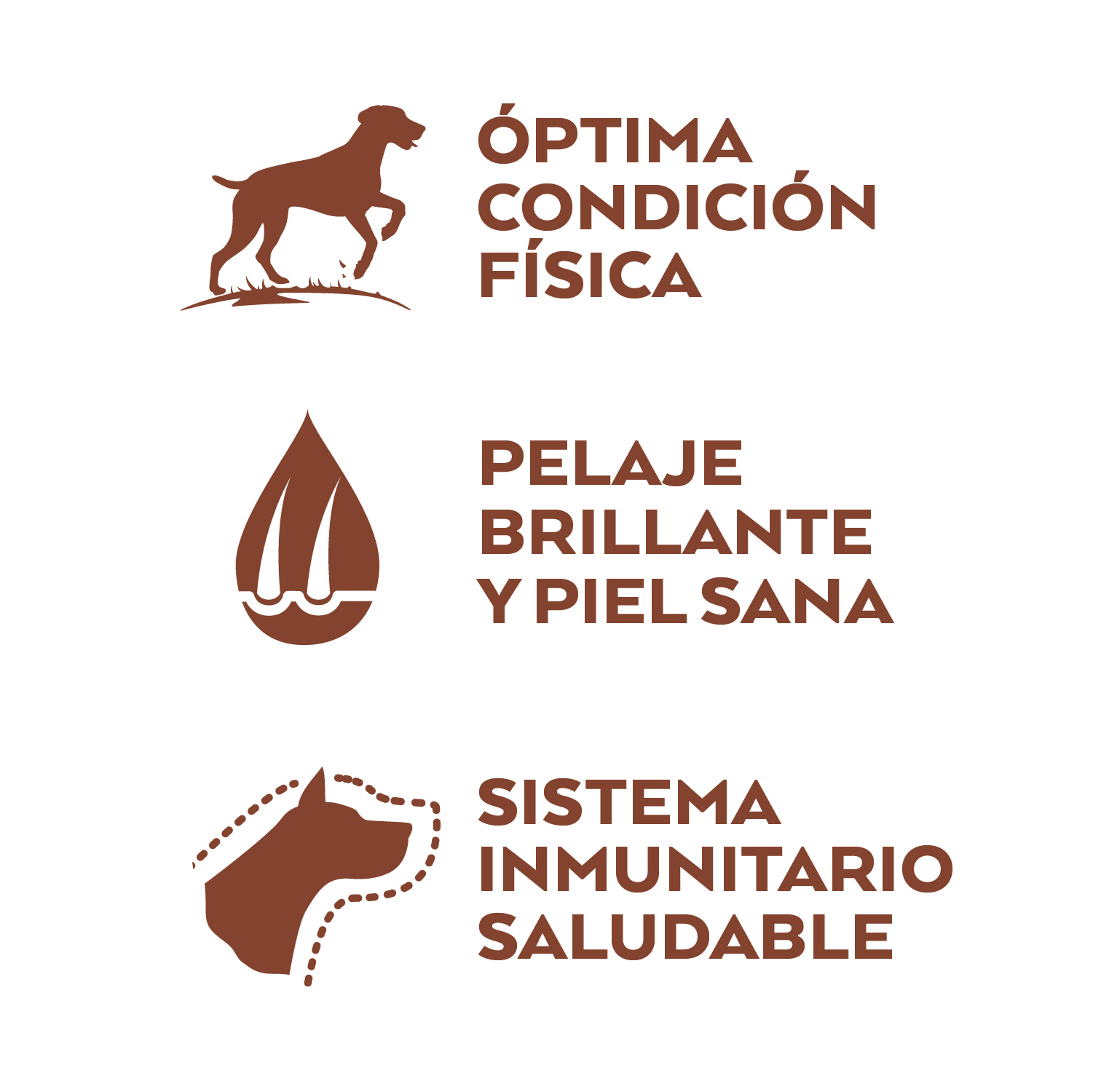 Ração Nature's Variety Selected para Cães Adultos de Porte Médio com Salmão