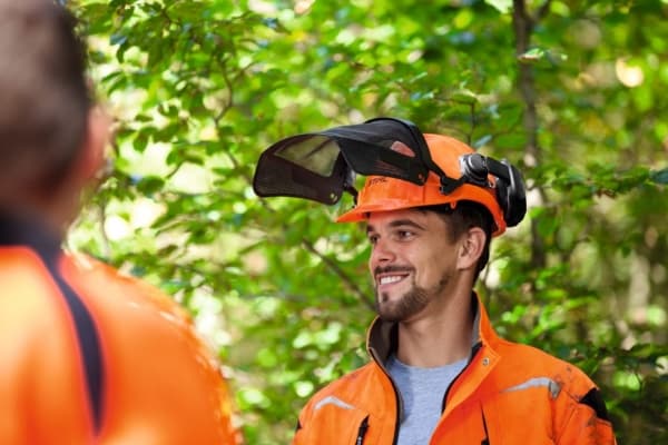 Stihl 00008880810 grunnleggende hjelmsett med skogshjelm, ansiktsbeskyttelse og gå