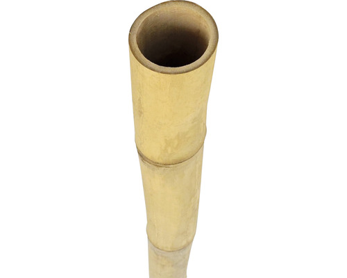 Bamboebuis Ø 4-5 cm, lengte 200 cm
