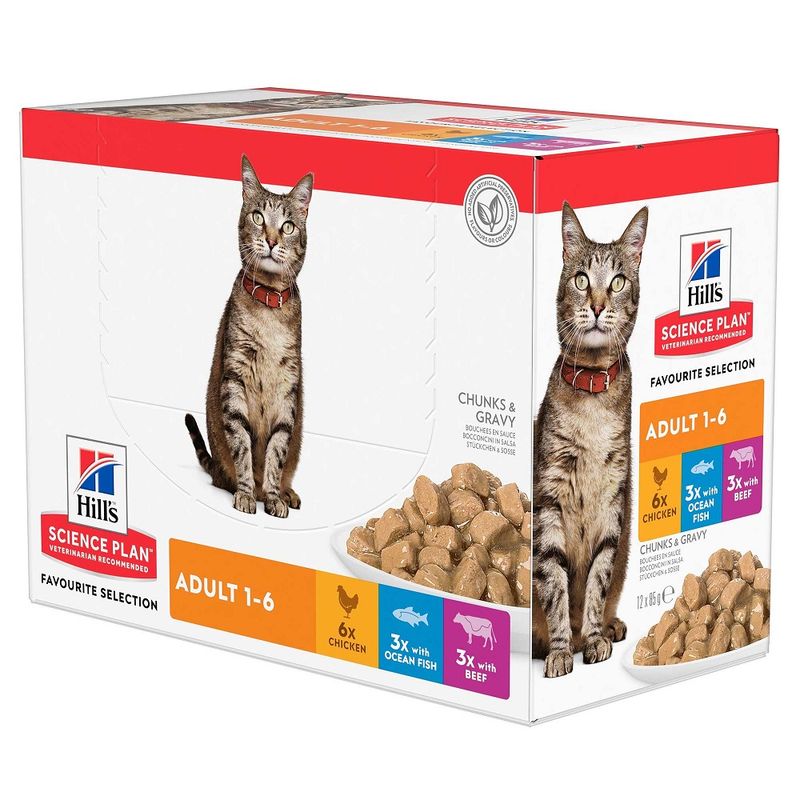 Hill's Science Plan Adult poulet - bitiba.fr