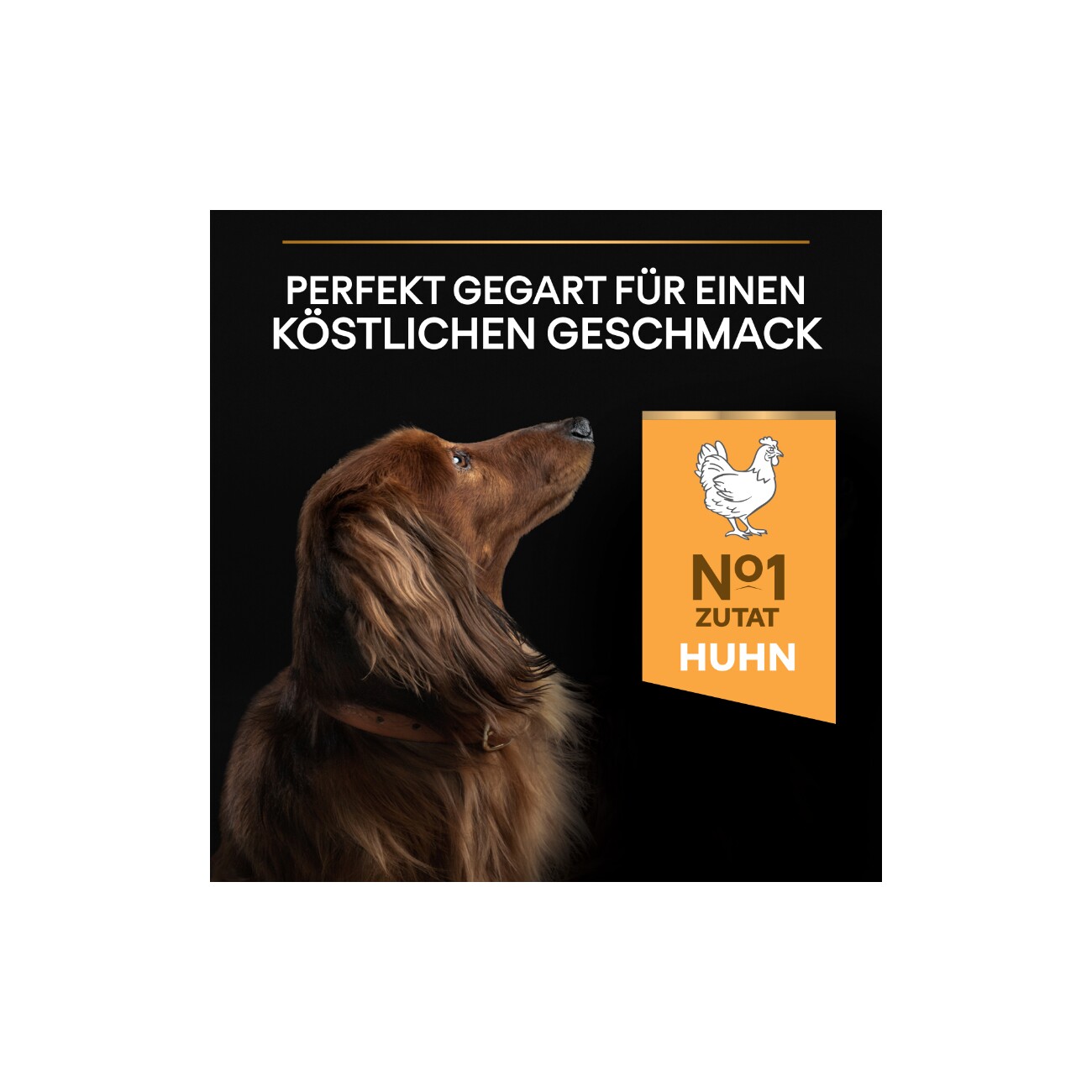 PRO PLAN Adult Small & Mini Huhn 3kg