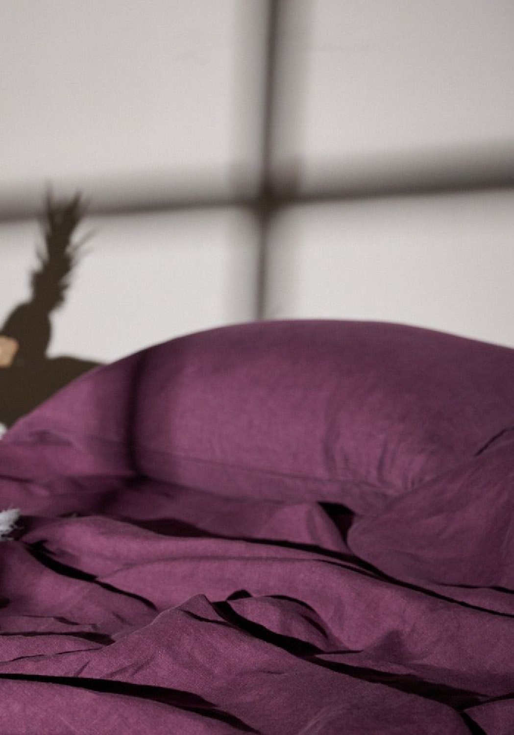 Lavie Oberleintuch Linus Plum