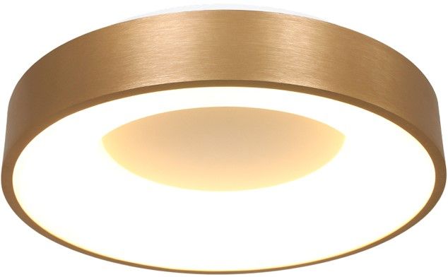 Plafondlamp 3086GO Ringlede ⌀30  x H9 cm