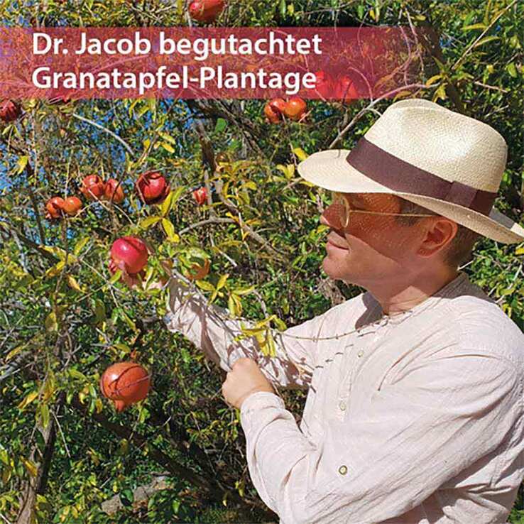 Granaprostan ferment Dr. Jacob`s Kapseln, 100 St