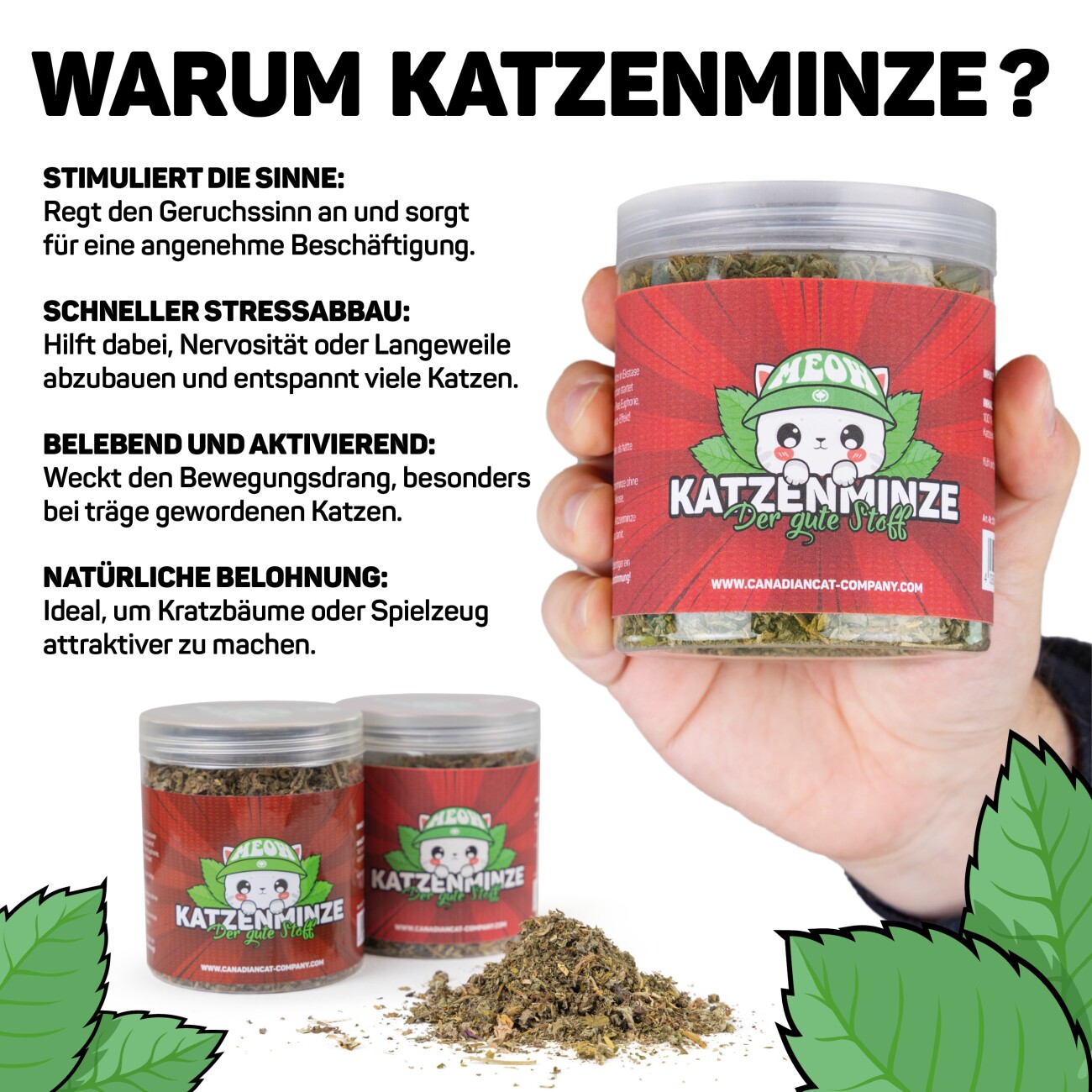 Canadian Cat Company Katzenminze in Dose