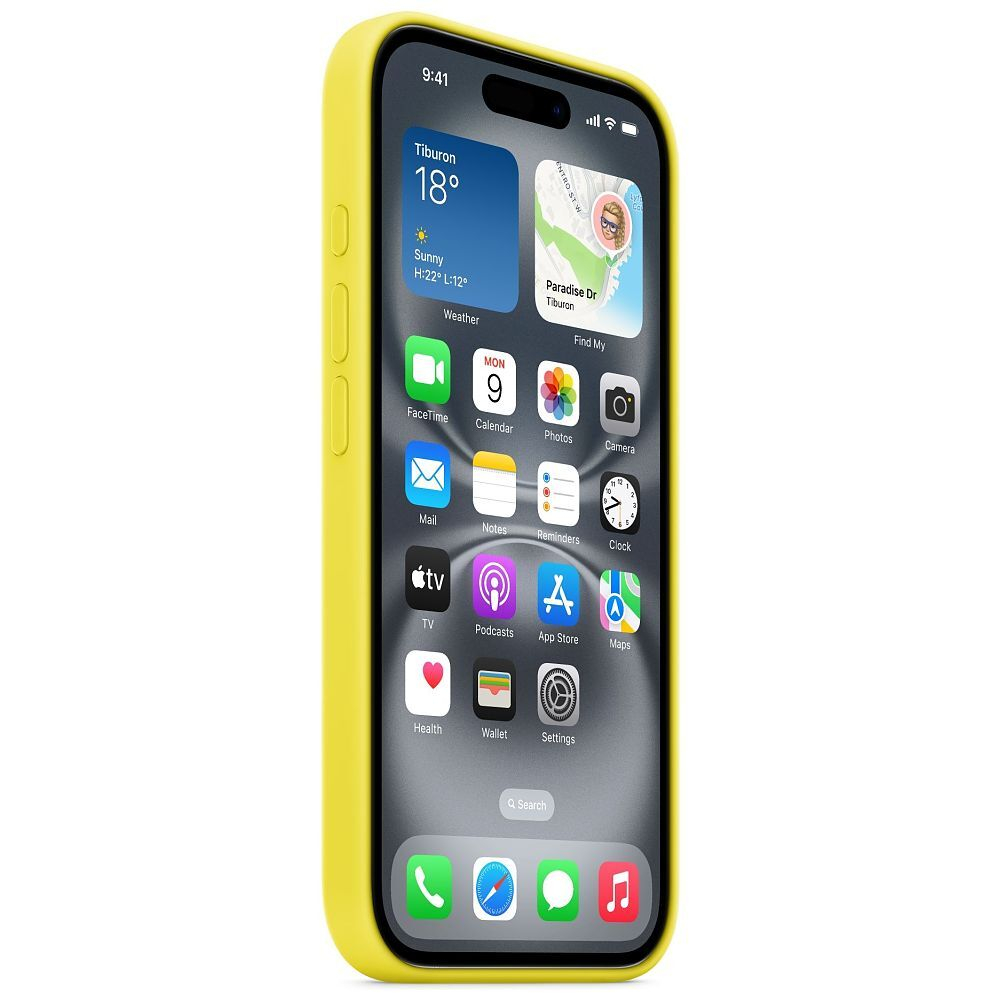 iPhone 16 MagSafe Silikon Case Hülle (MYY73ZM/A) - Sternfrucht