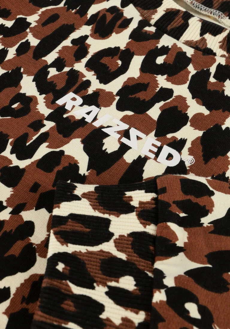 RAIZZED bruine raizzed sweater hanna