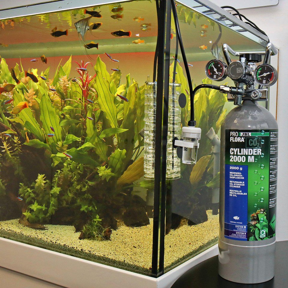 JBL - Proflora 2000M Refillable Bottle Co2