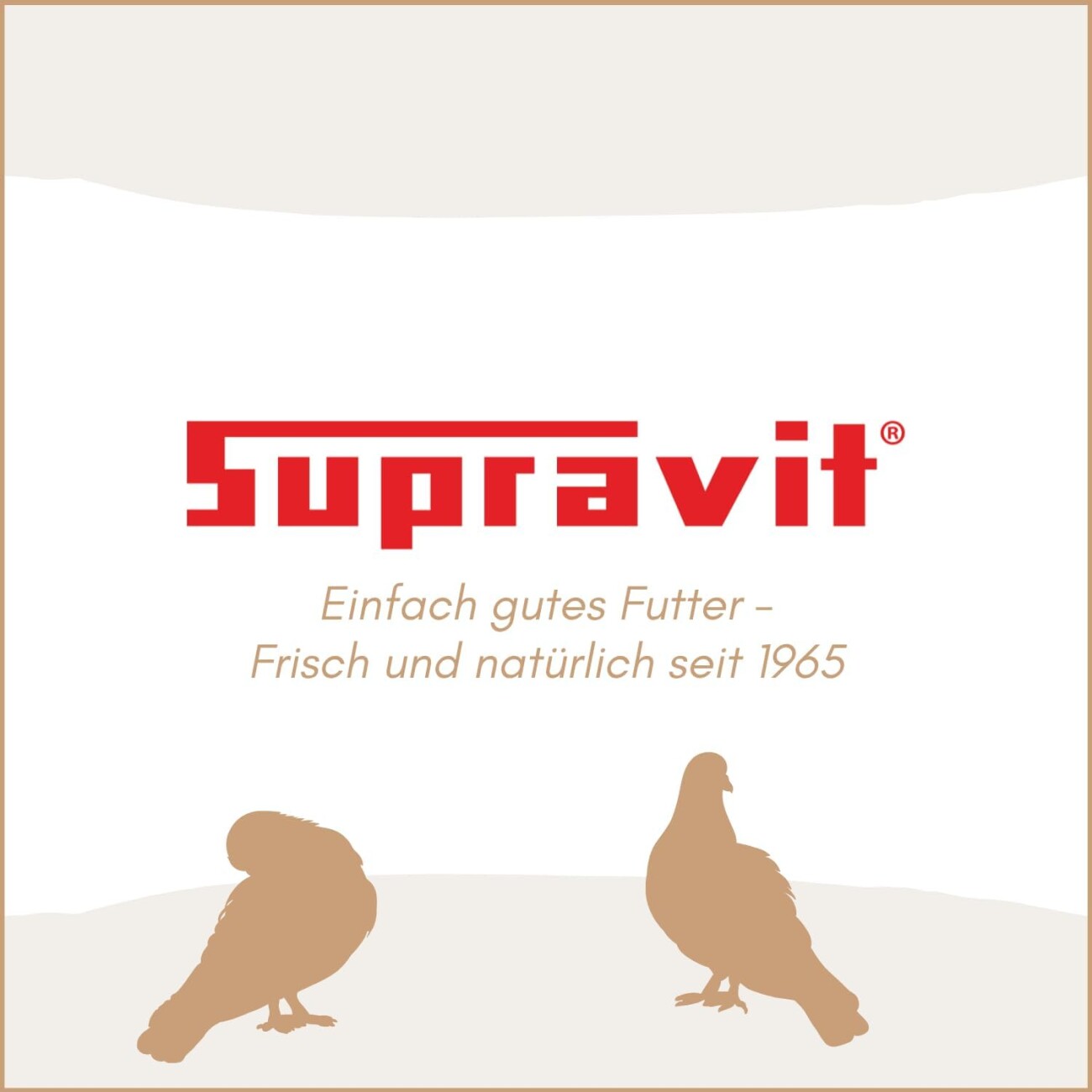 Supravit Vogelgrit – Grit für Vögel & Geflügel – Mineralgrit mit Calcium für Wellensittiche, Papageien, Nymphensittiche, Tauben & Hühner – Verdauungshilfe & Ergänzungsfutter 2,5 kg