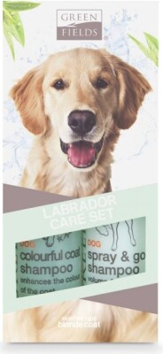 Pelspleje Sæt Til Labrador Hunde 2X250 ML - Blond - Greenfields