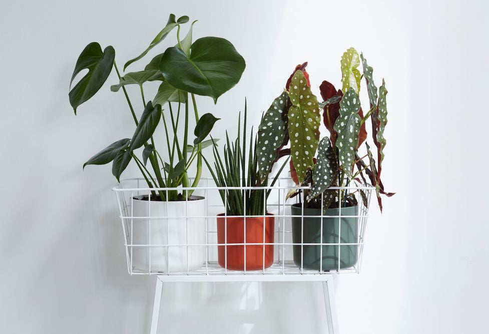 Elho bloempot B. for soft groen D 18,3 H 16,7 cm