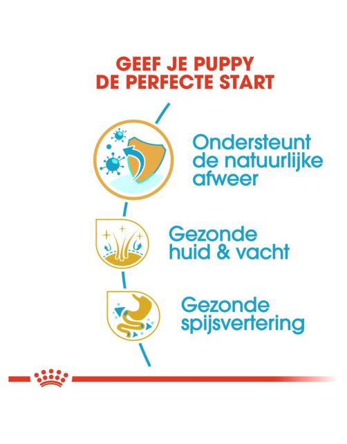 Royal Canin Golden Retriever - Puppy-Hondenvoer