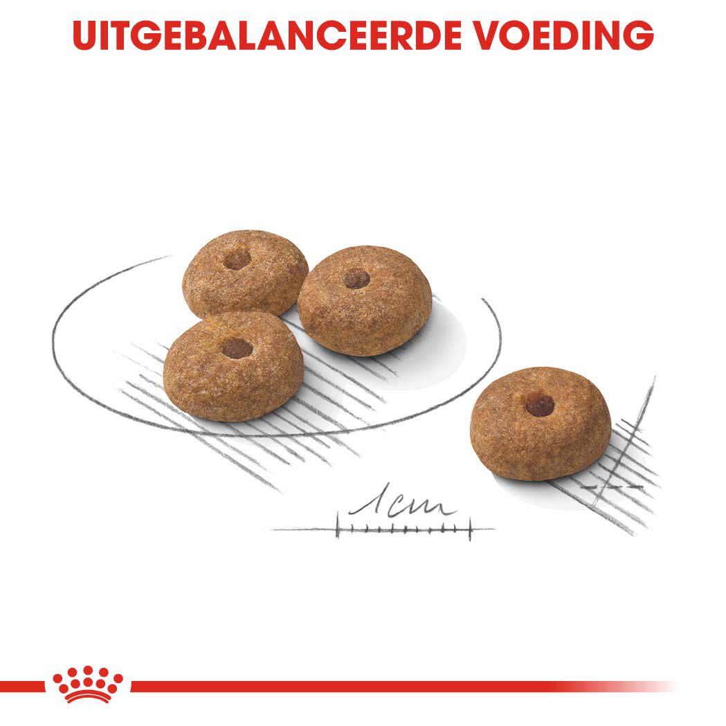Royal Canin Sterilised Mini - Hondenvoer - 3 Kilogram - gevogelte