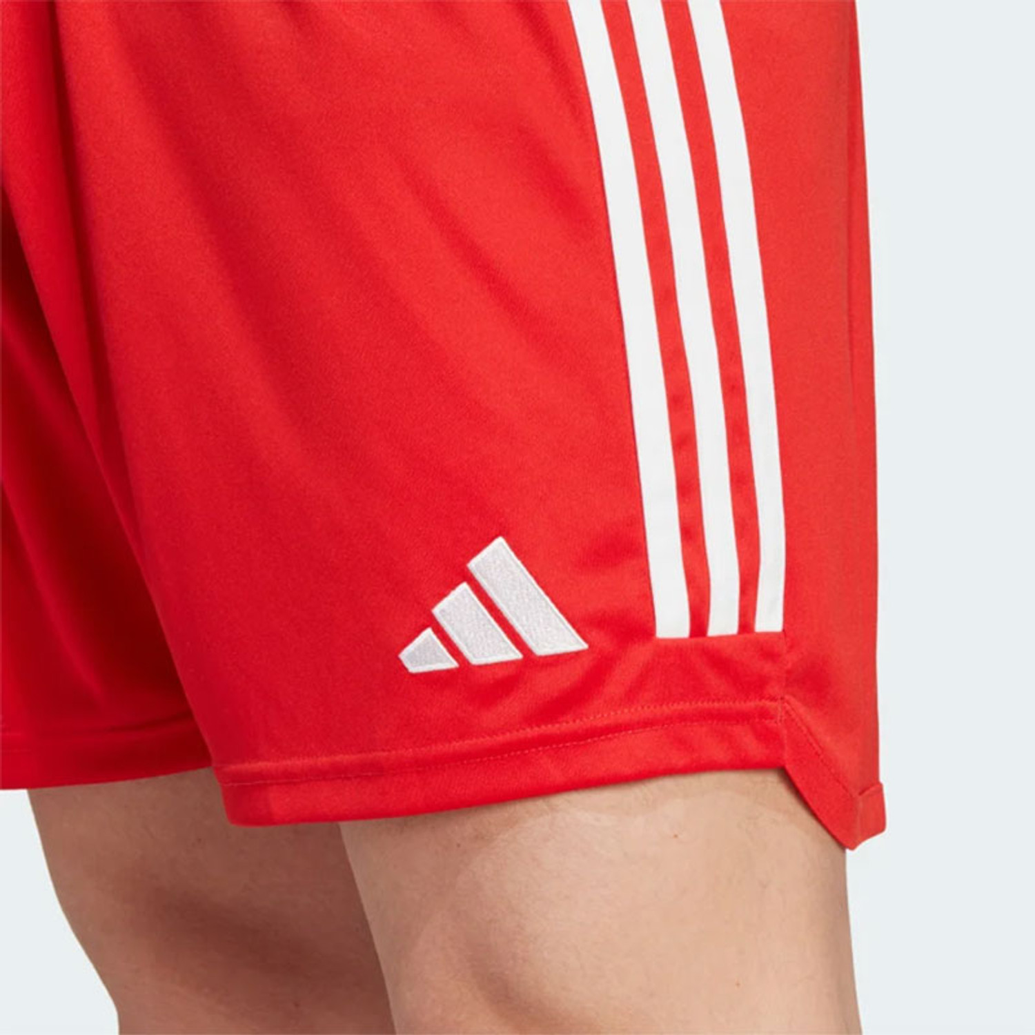 adidas Bayern München Pre-Match Trainingsset