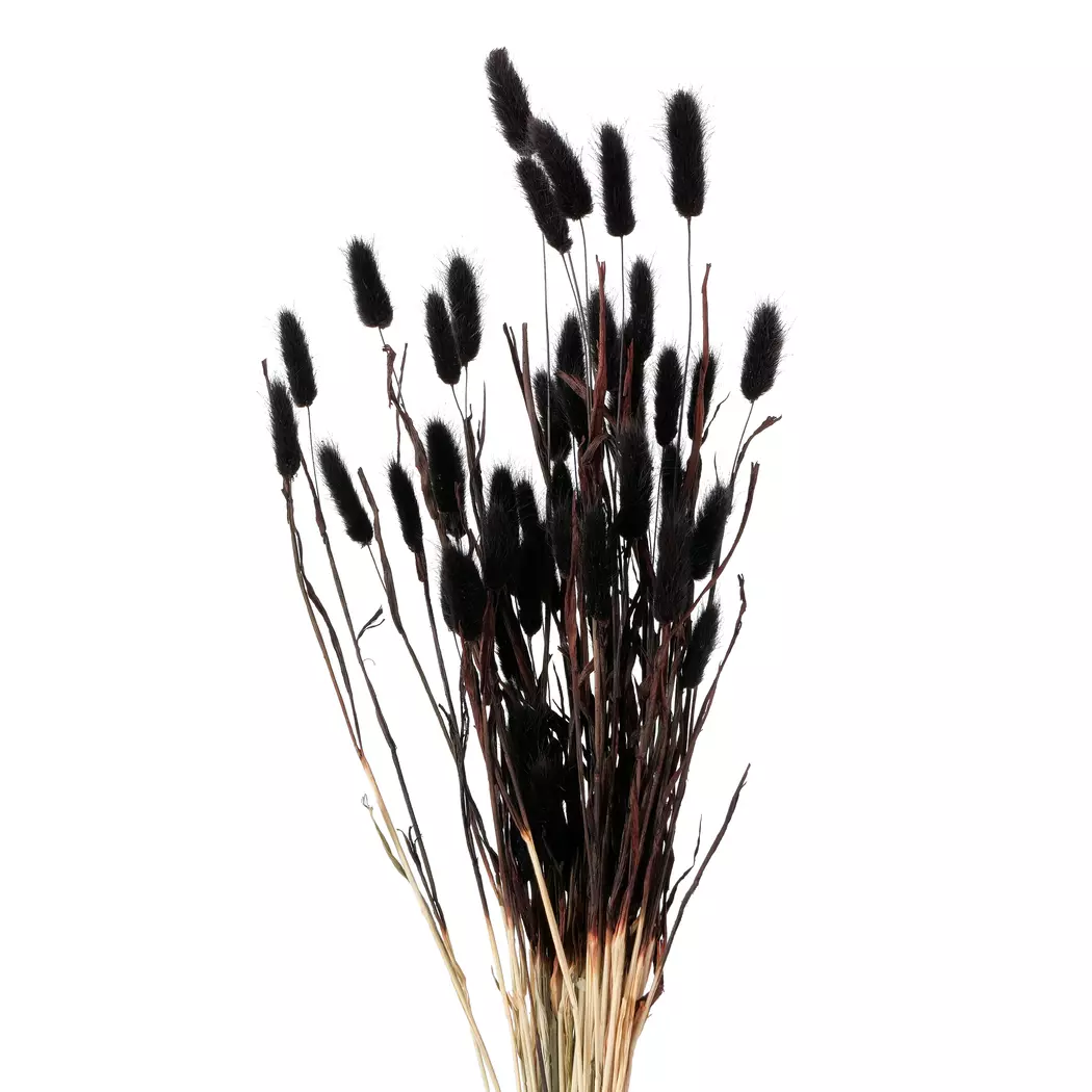 Deko-Zweig Samtgras 70 cm