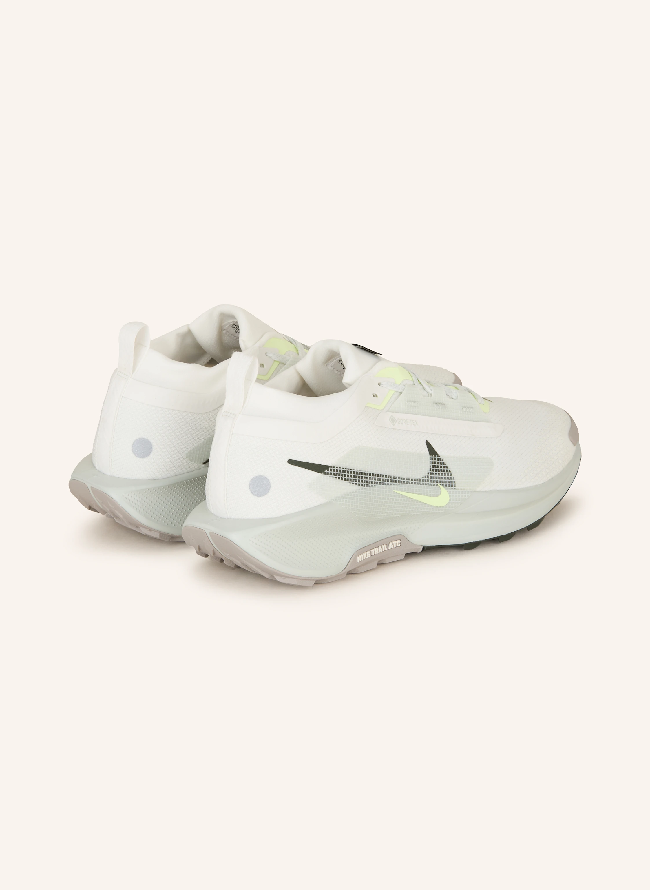 Nike Trailrunning-Schuhe PEGASUS TRAIL 5 GTX