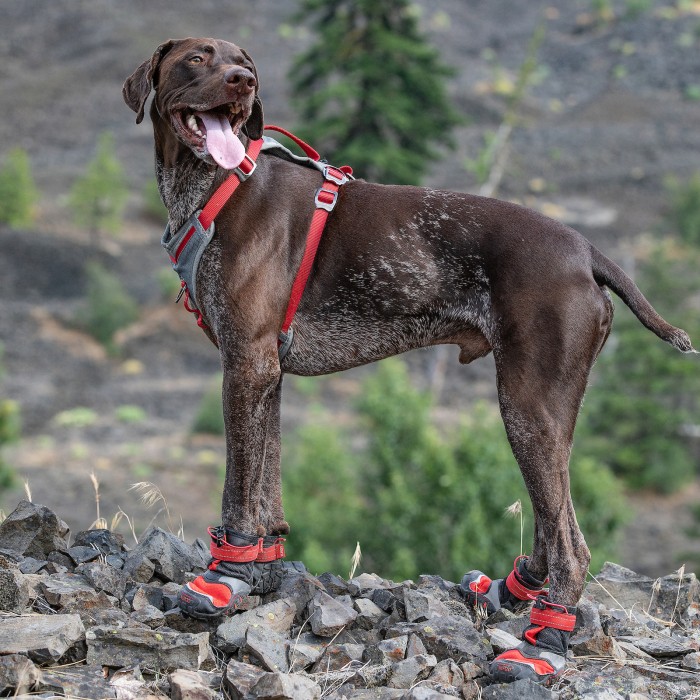 Chaussures techniques Blaze Cross
