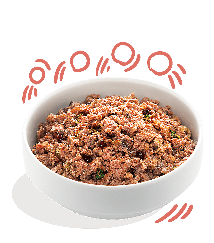 Edgard & Cooper Senior Blikjes Kip en Zalm 6 x 400 gram