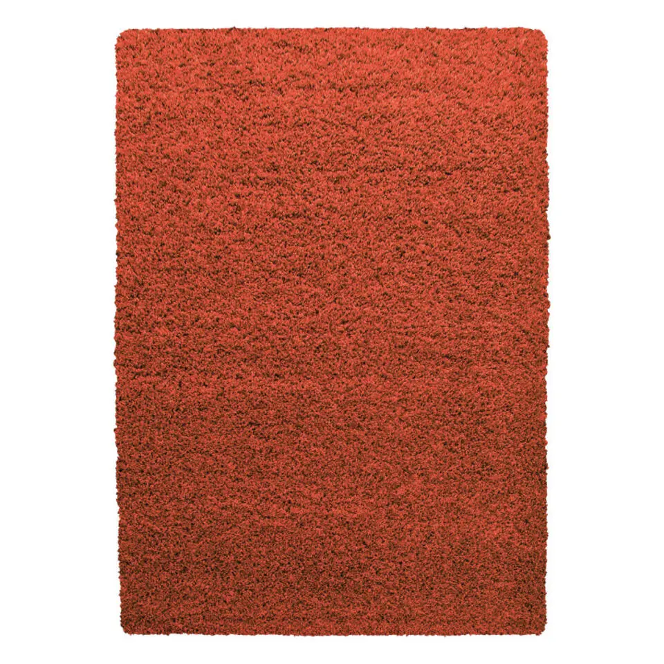 Basic Shaggy vloerkleed Terra / Oranje Hoogpolig - 120x170 CM