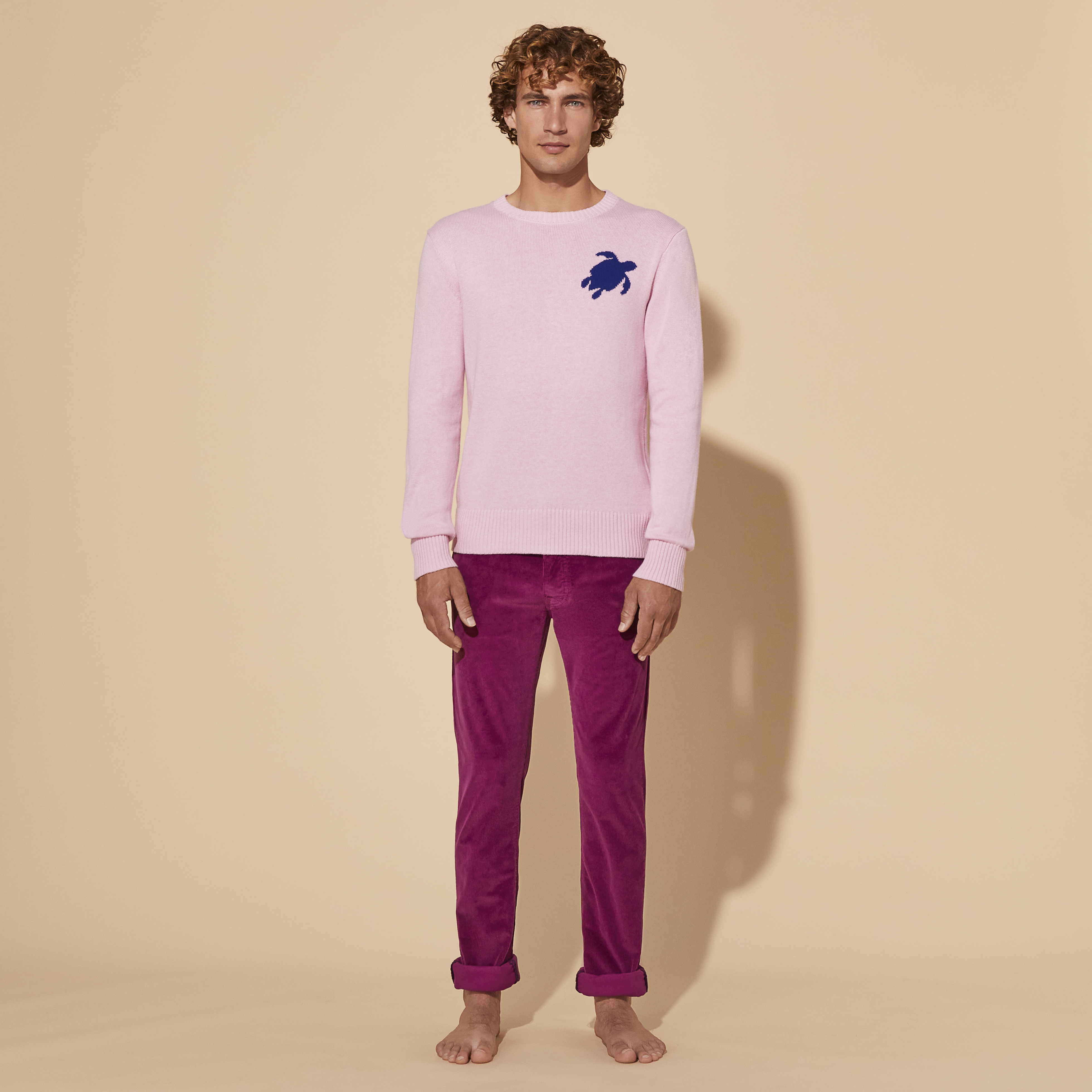 Pullover en Coton et Cachemire Ras-du-cou Homme Tortue